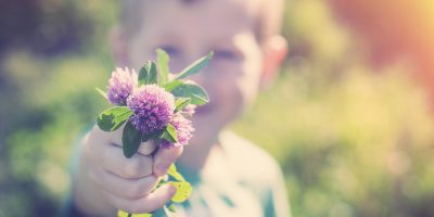 Son gives mom a bunch of purple clover